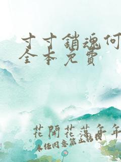 寸寸销魂何生祥全本免费