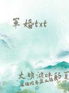 军婚txt