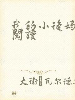 我的小后妈免费阅读