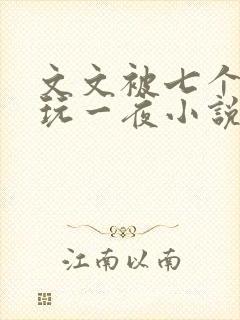 文文被七个男人玩一夜小说