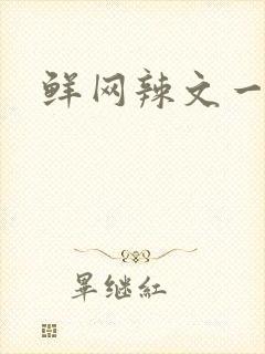 鲜网辣文一对一
