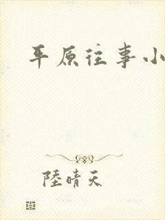 平原往事小说