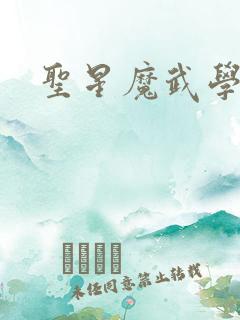 圣星魔武学院