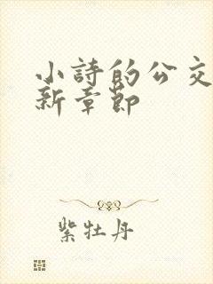 小诗的公交车最新章节