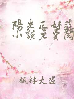 阳光正好苏玥玥小说免费阅读