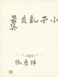 最爽乱子小说合集