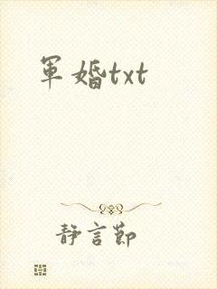 军婚txt