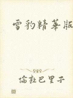 雪豹精华版全集