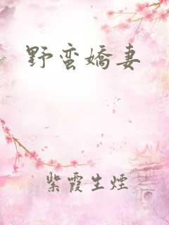 野蛮娇妻