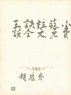 王铁柱苏小汐小说全文免费阅读最新章节