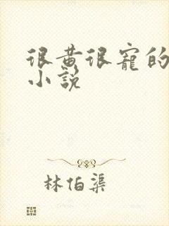 很黄很宠的总裁小说