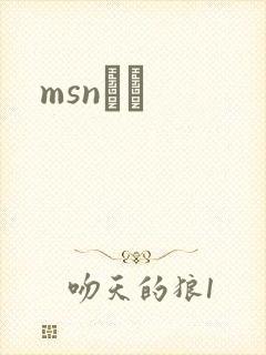 msnС˵