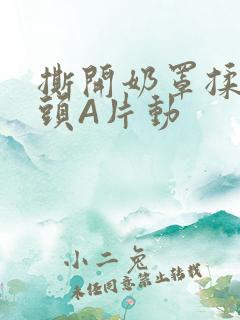 撕开奶罩揉吮奶头A片动