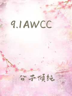 9.1AWCC