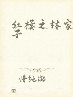 红楼之林家庶长子