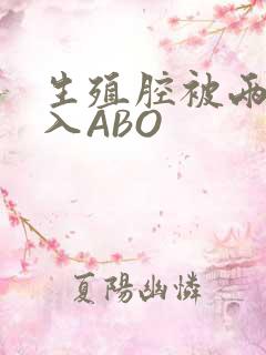 生殖腔被两根进入ABO