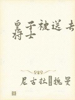 皇子被送去犒劳将士