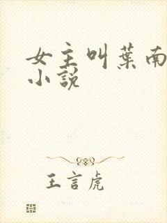 女主叫叶南初的小说