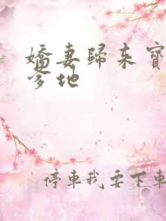 娇妻归来宝贝叫爹地