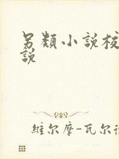 另类小说校园小说