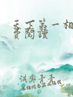 天下第一相书免费阅读