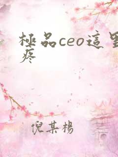 极品ceo这里疼