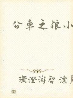 公车之狼小说
