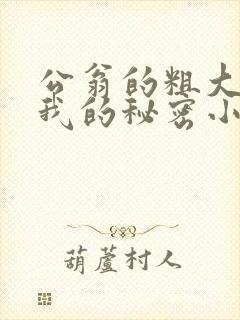 公翁的粗大放进我的秘密小说