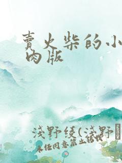 卖火柴的小男孩 肉版