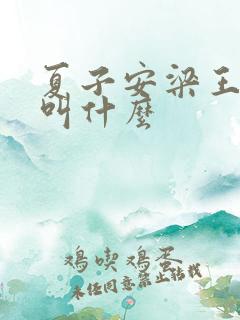 夏子安梁王书名叫什么