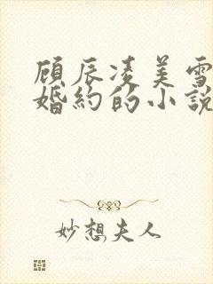 顾辰凌美雪五份婚约的小说名字叫什么