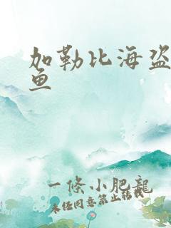 加勒比海盗4人鱼