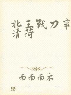 北王战刀宁北苏清荷