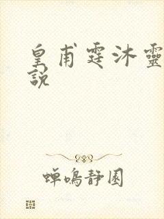 皇甫霆沐灵芸小说