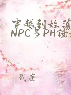 穿越到姓荡游戏NPC多PH镜姬