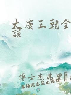 大康王朝金峰小说