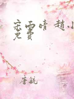 宋雨晴 赵小刚免费