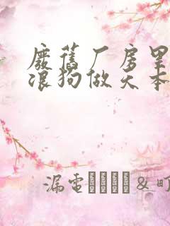 废旧厂房里和流浪狗做天本