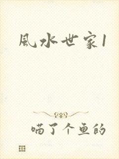 风水世家1