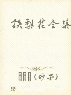 铁梨花全集下载