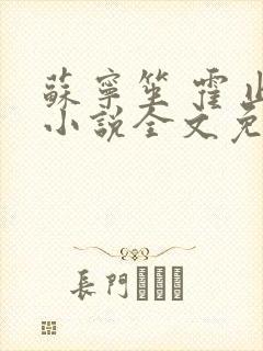 苏宁笙 霍止行小说全文免费阅读