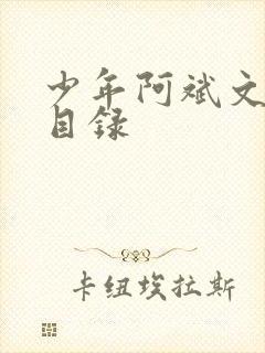 少年阿斌文说读目录