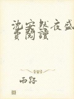 沈安然夜盛霆免费阅读