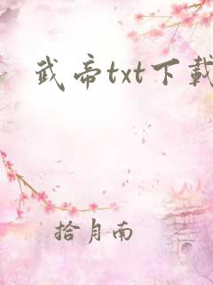 武帝txt下载