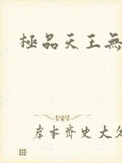 极品天王无弹窗
