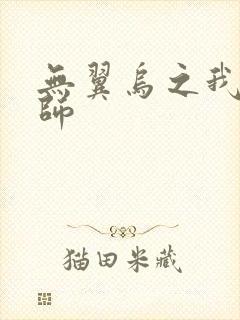 无翼乌之我的教师