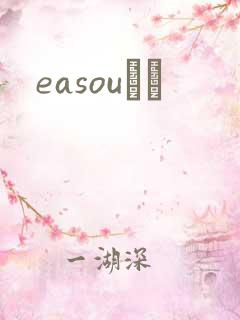 easouС˵