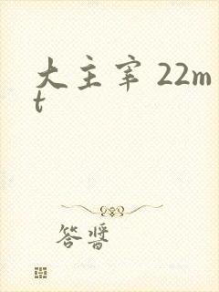 大主宰 22mt