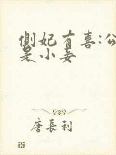 侧妃有喜:公主是小妾