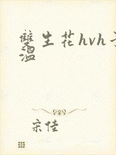 双生花hvh予温